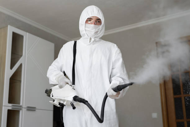 Best Emergency Mold Remediation  in Baxter, TN